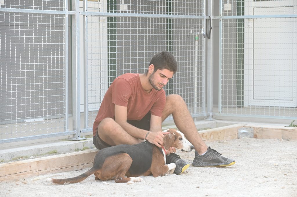 Artos animal charities near me