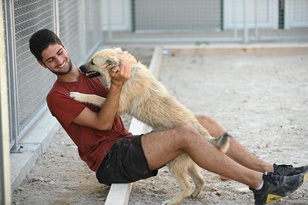 čupka dog charity