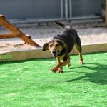 Doby
