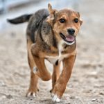 Fiona