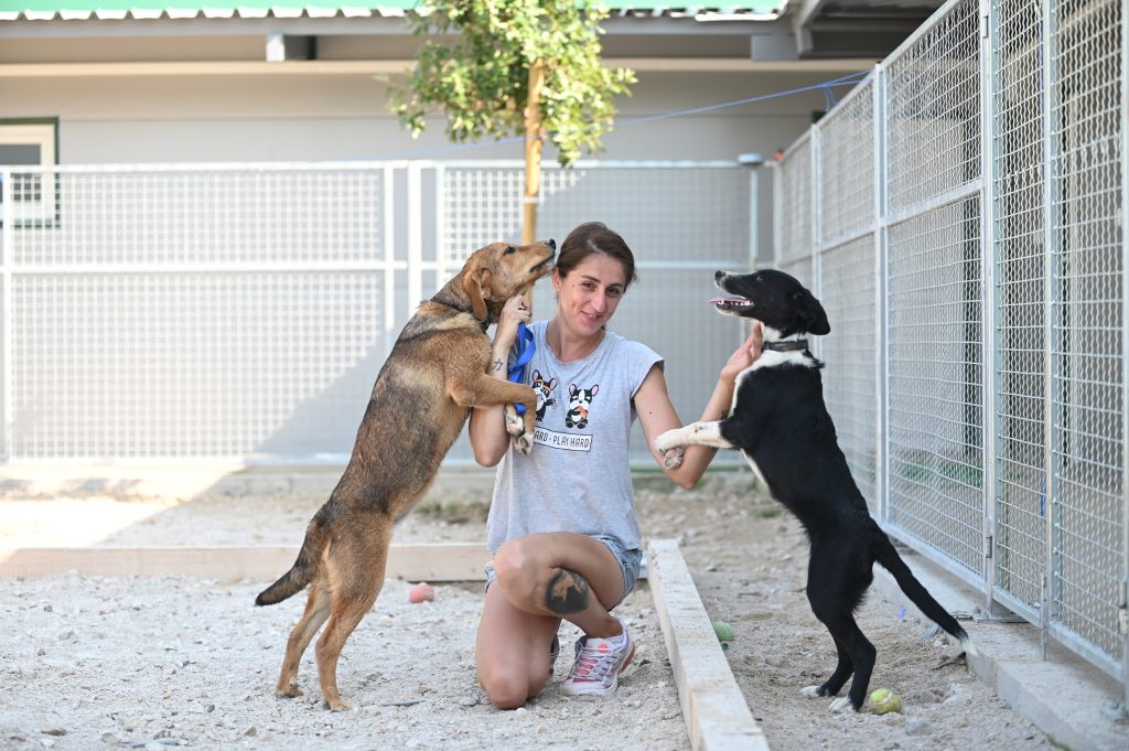 Flora rehome adopt a pet