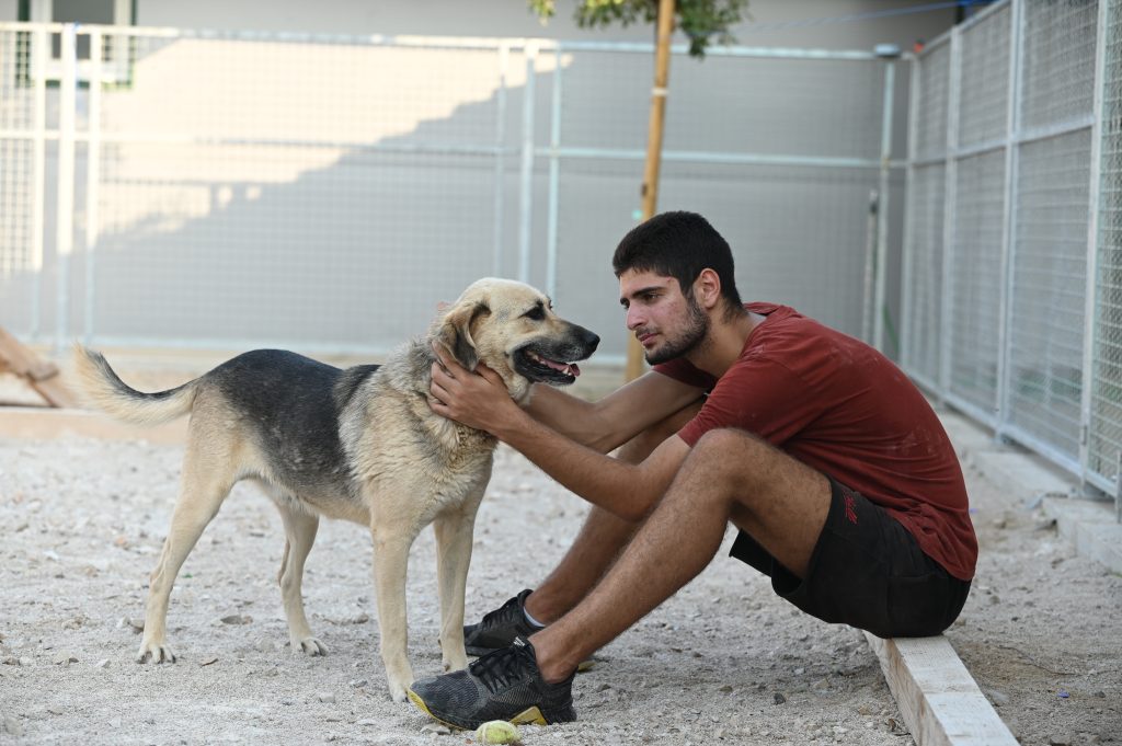 Fleki private dog rehoming