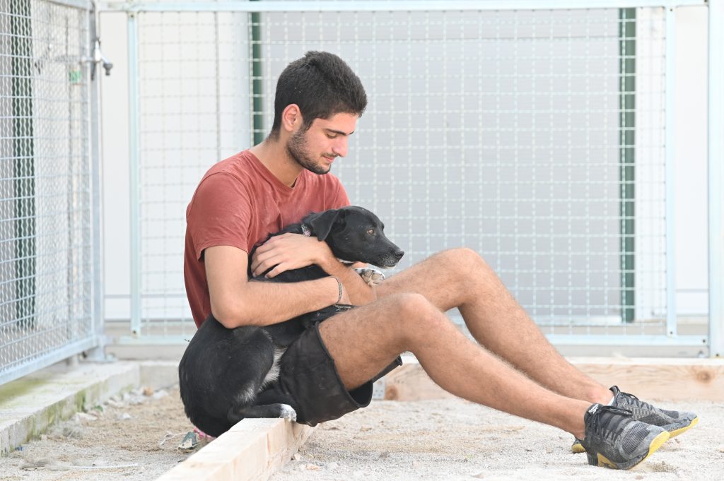 Garo dogs dogs for sale