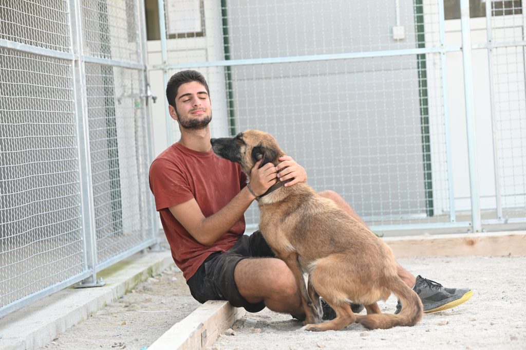 Heidi animal charities near me