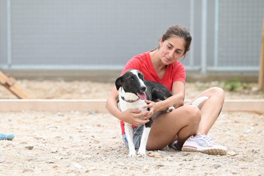 Lady rescue dog rescue