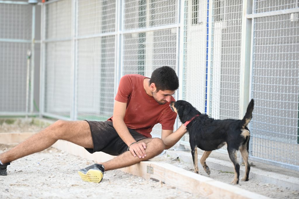 Lea dogs pets rescue