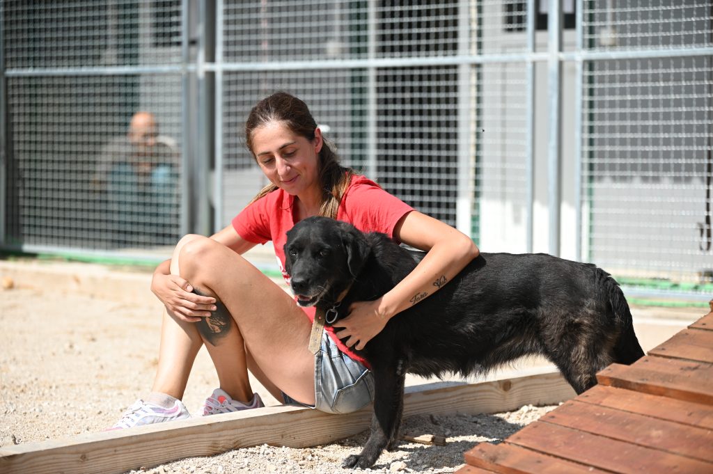 Linda dog rescue centres