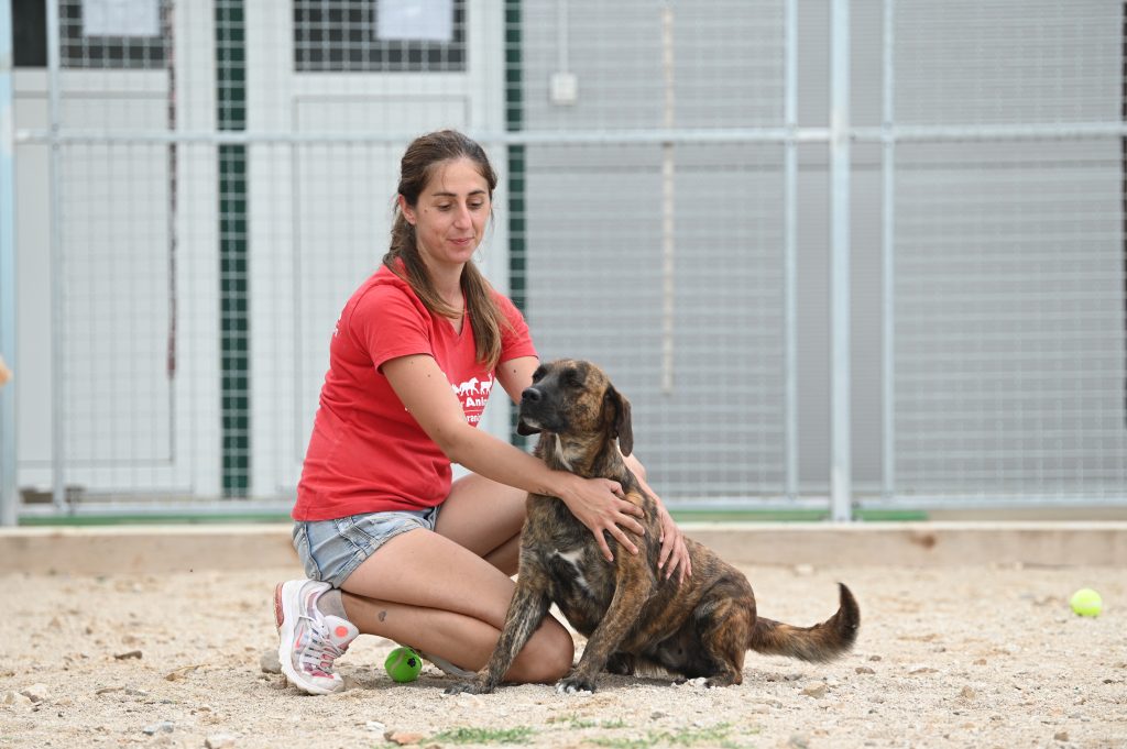 Lokica dog rescue centres near me