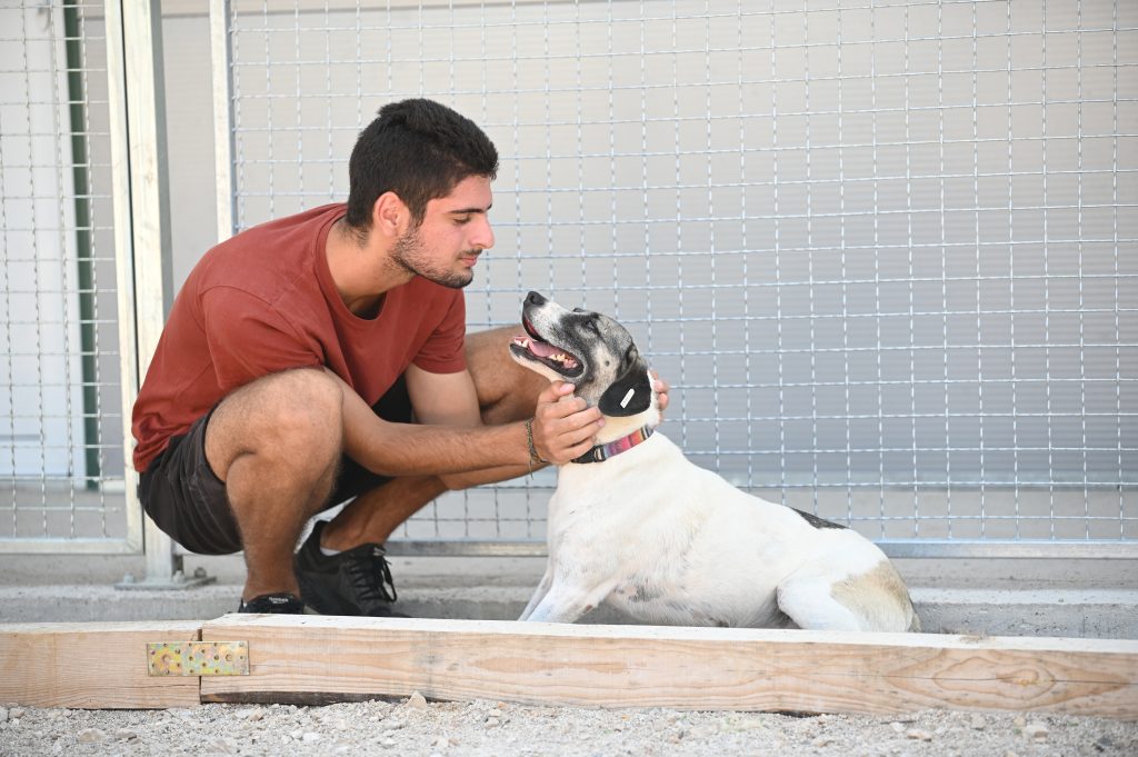 Mafy animal charities near me