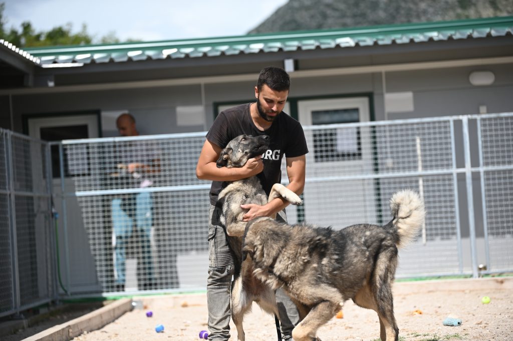 Pegy volunteer dog shelter