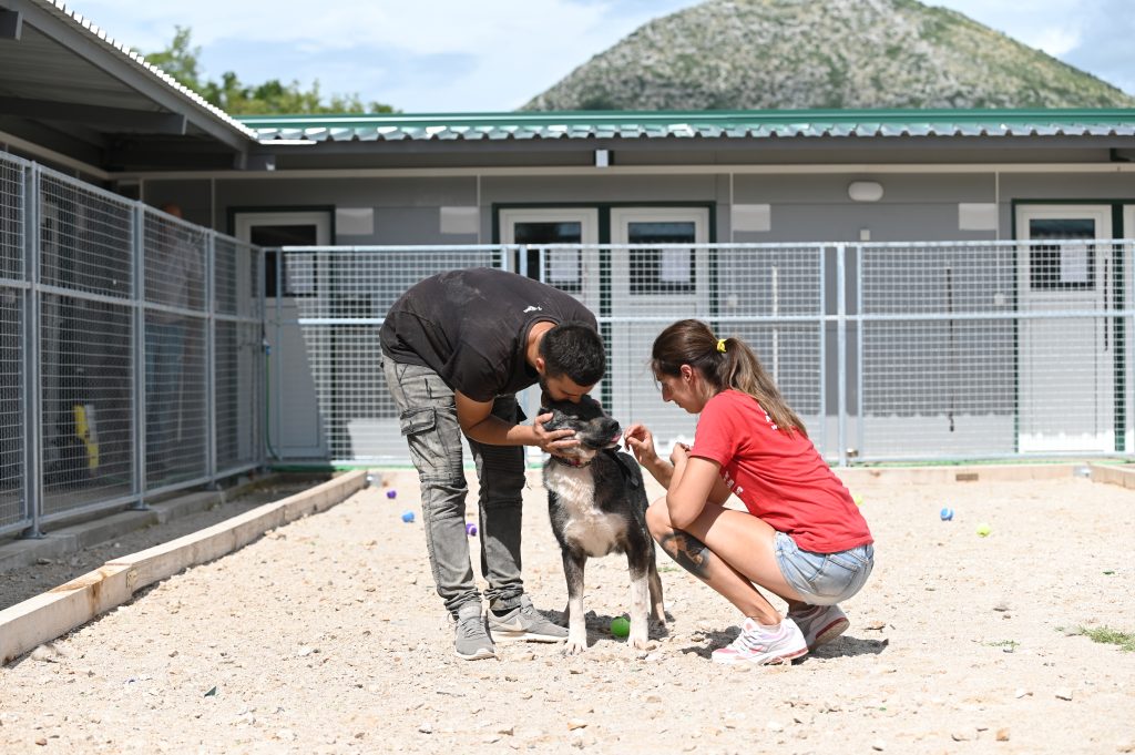 Šapa dog rescue centres