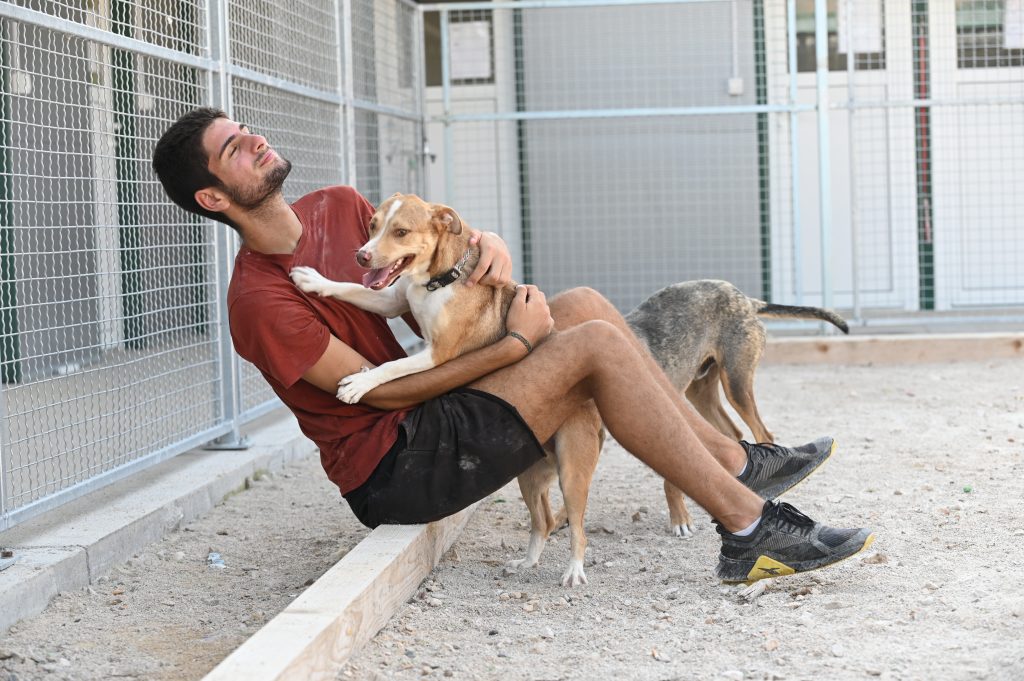 Smiley volunteer dog shelter