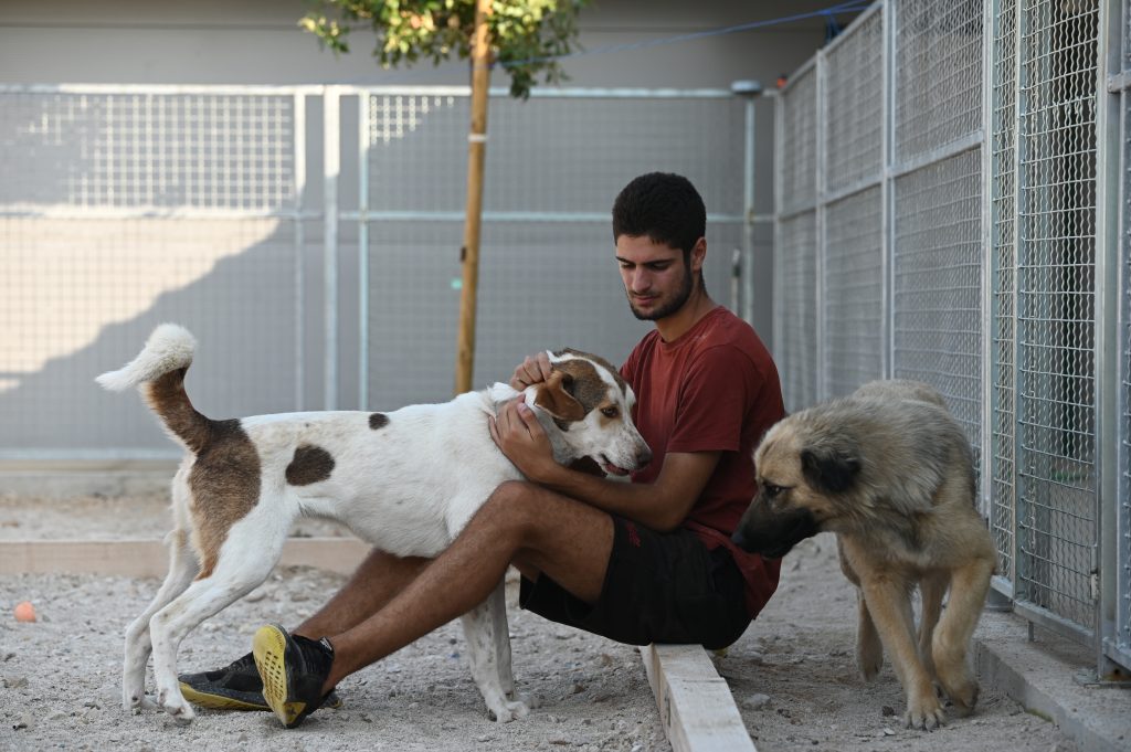 tara dog rescues